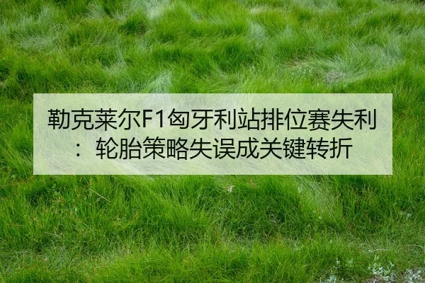 lei-ke-lai-er-xiong-ya-li-zhan-pai-wei-sai-shi-li-lun-tai-ce-lve-shi-wu-cheng-guan-jian-zhuan-zhe-2-550.jpg