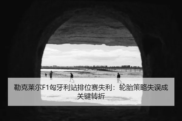 lei-ke-lai-er-xiong-ya-li-zhan-pai-wei-sai-shi-li-lun-tai-ce-lve-shi-wu-cheng-guan-jian-zhuan-zhe-3-523.jpg
